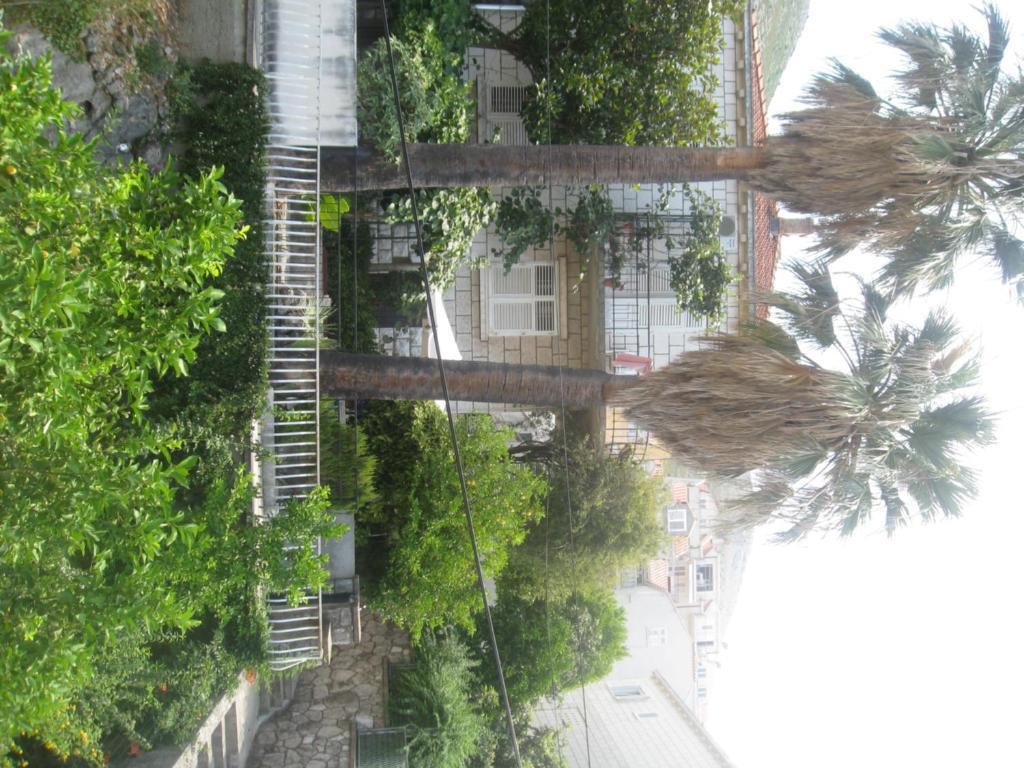 Guest house Nikolina 3*